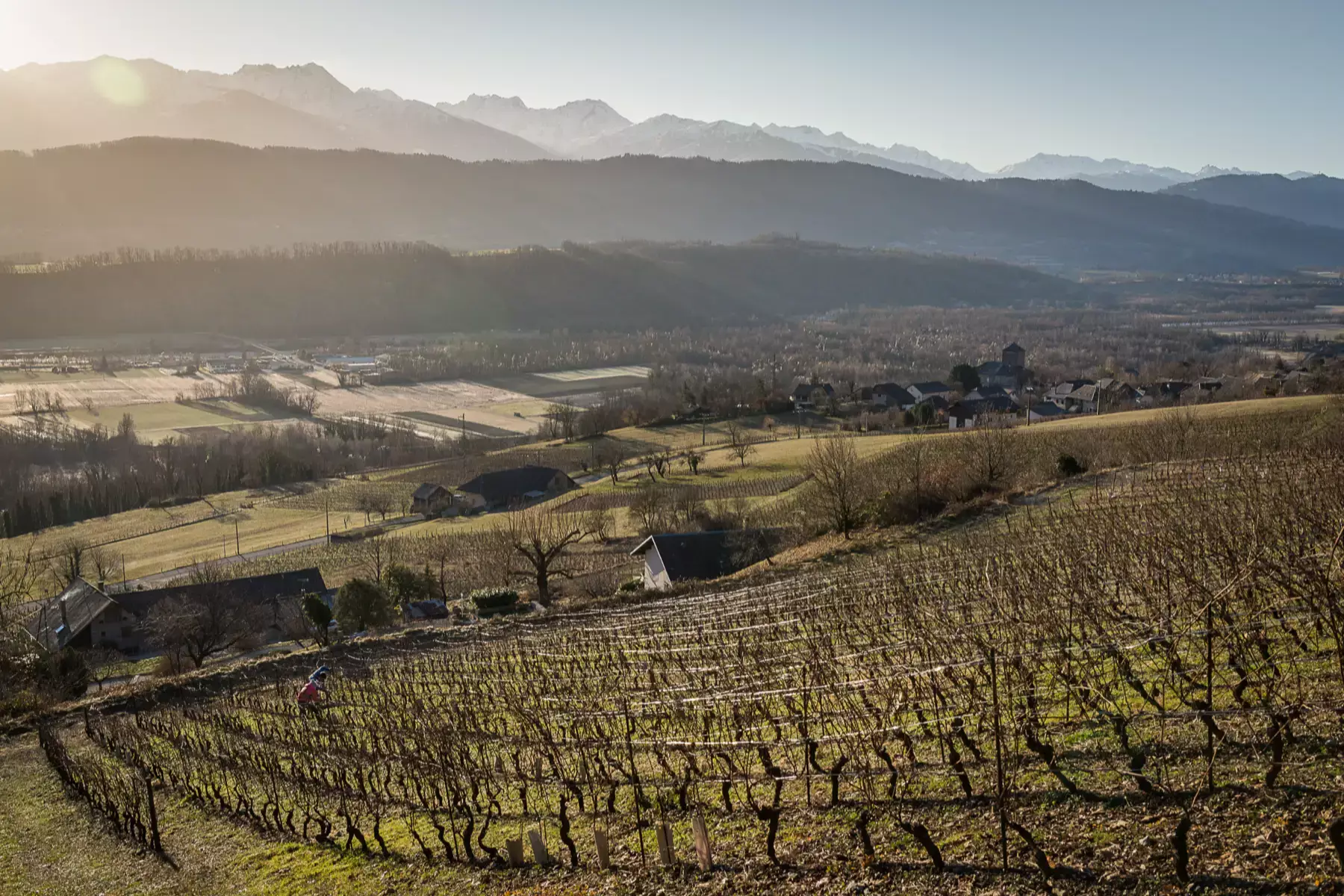 Domaine des Côtes Rousses - Vignes en coteau au-dessus d’un village et de la vallée, face aux sommets enneigés