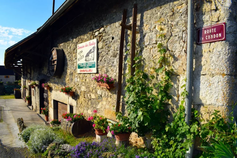 Domaine des Plantaz