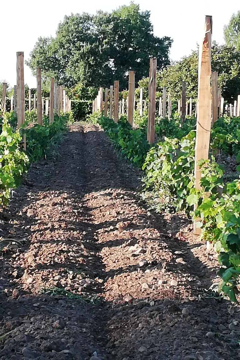 Domaine des Rouillats