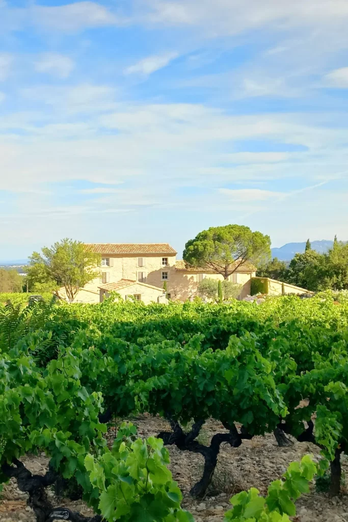 Domaine du Chat Blanc - Le mas du XVIIIe siècle derrière les vieilles vignes
