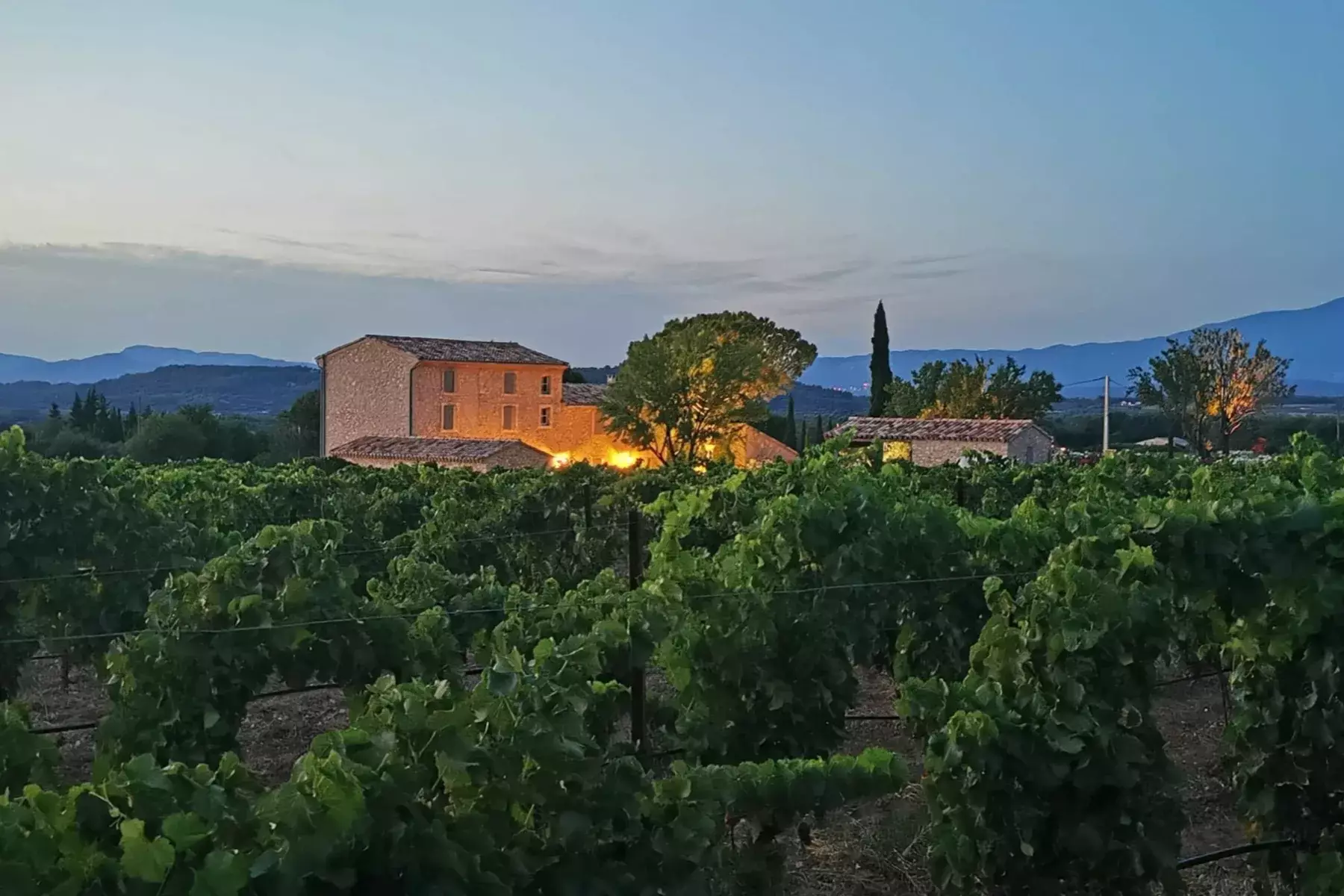 Domaine du Chat Blanc - Le mas et ses vignes au crépuscule à Saint-Didier