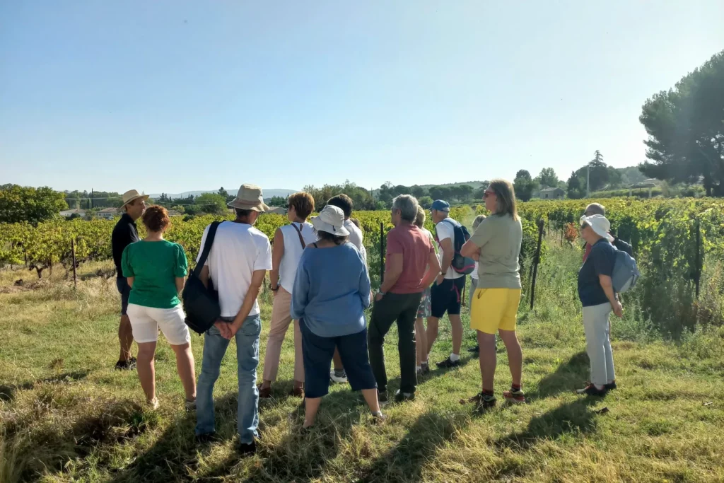 Domaine du Chat Blanc - Visite commentée du vignoble avec un groupe