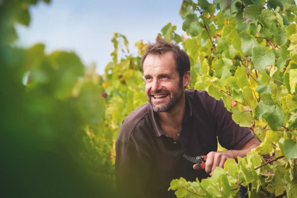 Domaine Éric Chevalier - Éric Chevalier au milieu de ses vignes à Saint-Philbert-de-Grand-Lieu