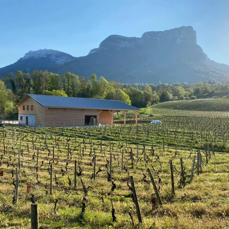 Domaine Giachino