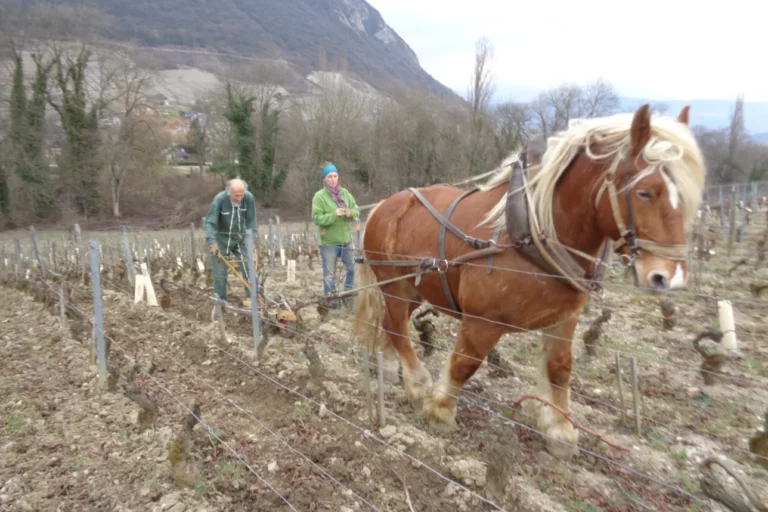 Domaine Gilles Berlioz