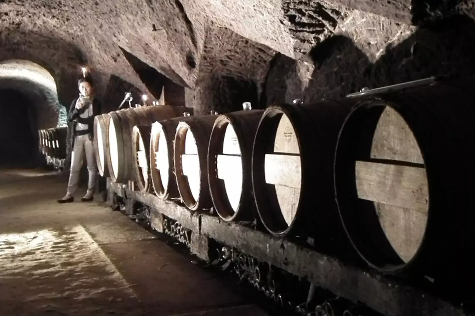 Domaine Jean-Bernard Métais - Rangée de barriques dans la cave creusée dans le tuffeau