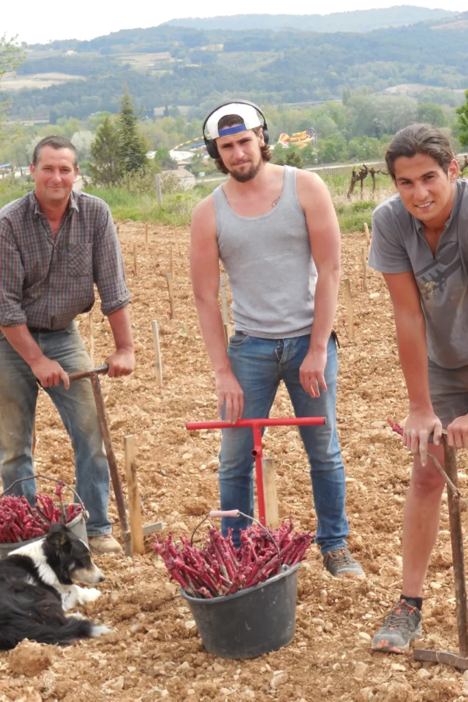 Domaine La Péquélette - Trois hommes et un chien pendant une plantation de jeunes vignes au printemps