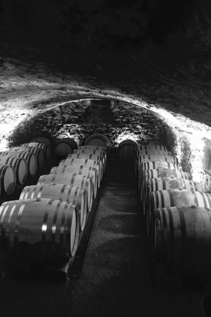 Domaine Lafoy - Deux rangées de barriques sous la voûte de pierre de la cave