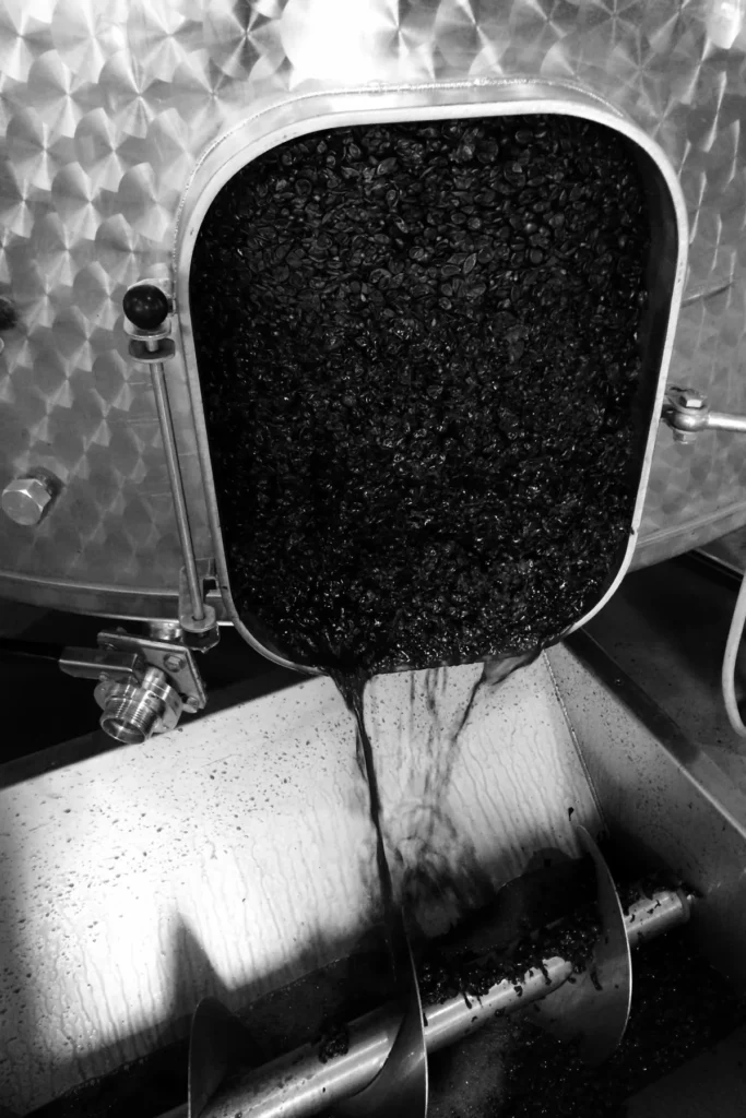 Domaine Lafoy - Décuvage du marc par la porte d’une cuve inox