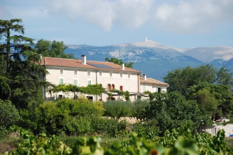 Domaine Leschancel