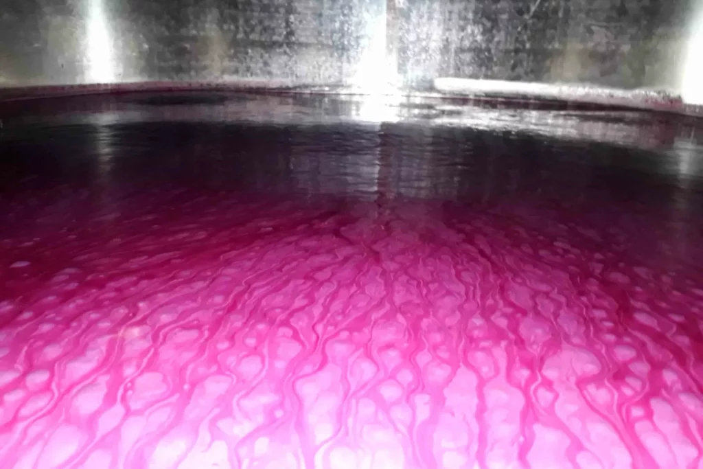 Domaine Leschancel - Moût de raisin rouge à la surface d’une cuve inox