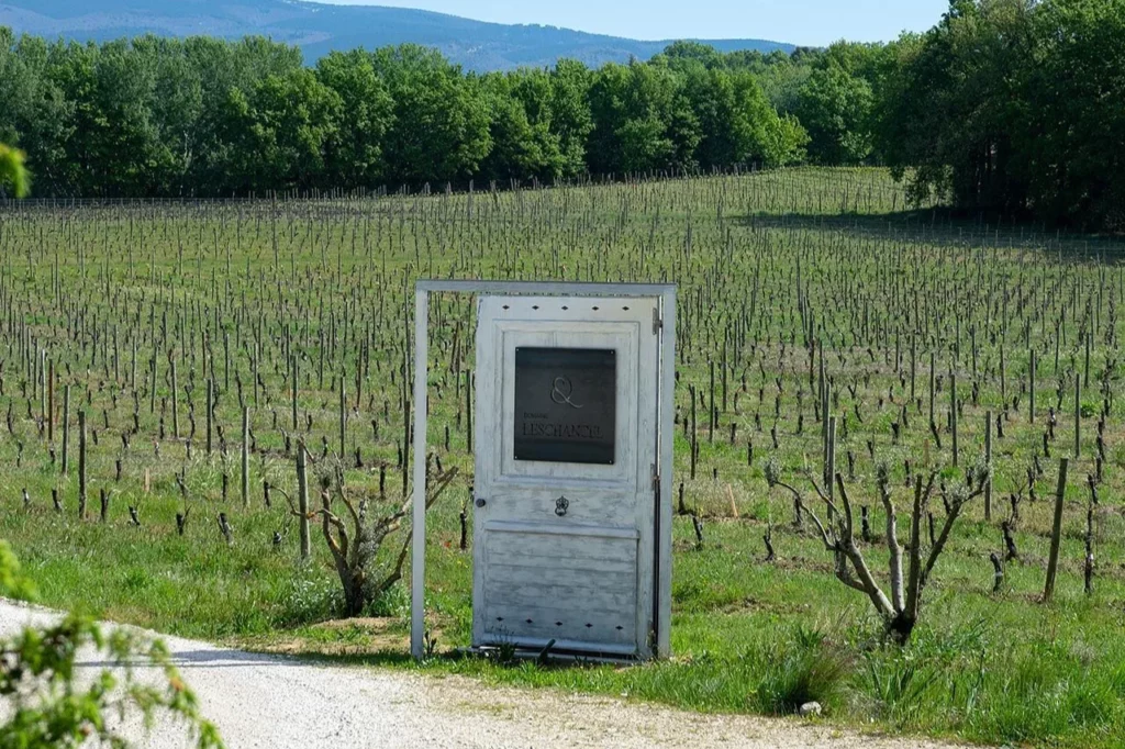 Domaine Leschancel - Une porte plantée au bord des vignes, sur le chemin du domaine