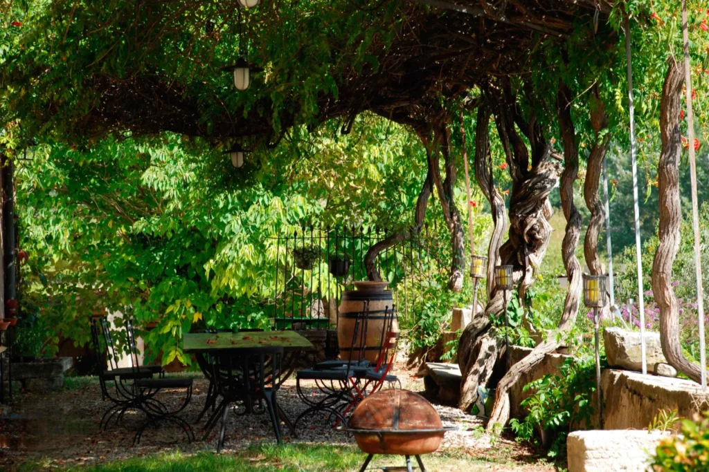 Domaine Leschancel - Tables et chaises à l’ombre de la treille du domaine