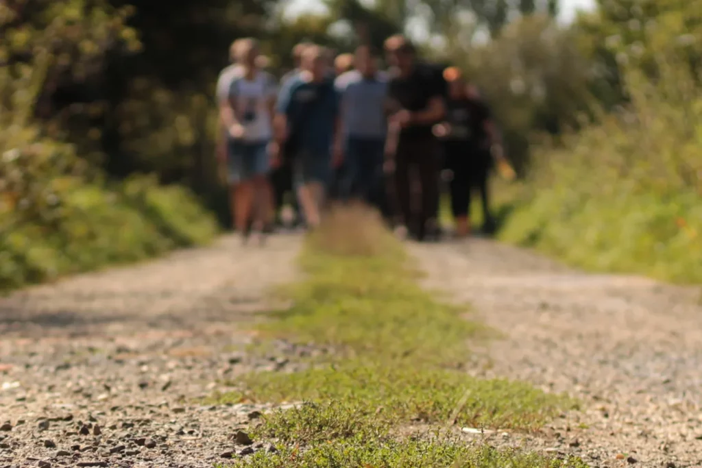 Domaine Lombard - Un groupe en marche sur un chemin de terre bordé de verdure