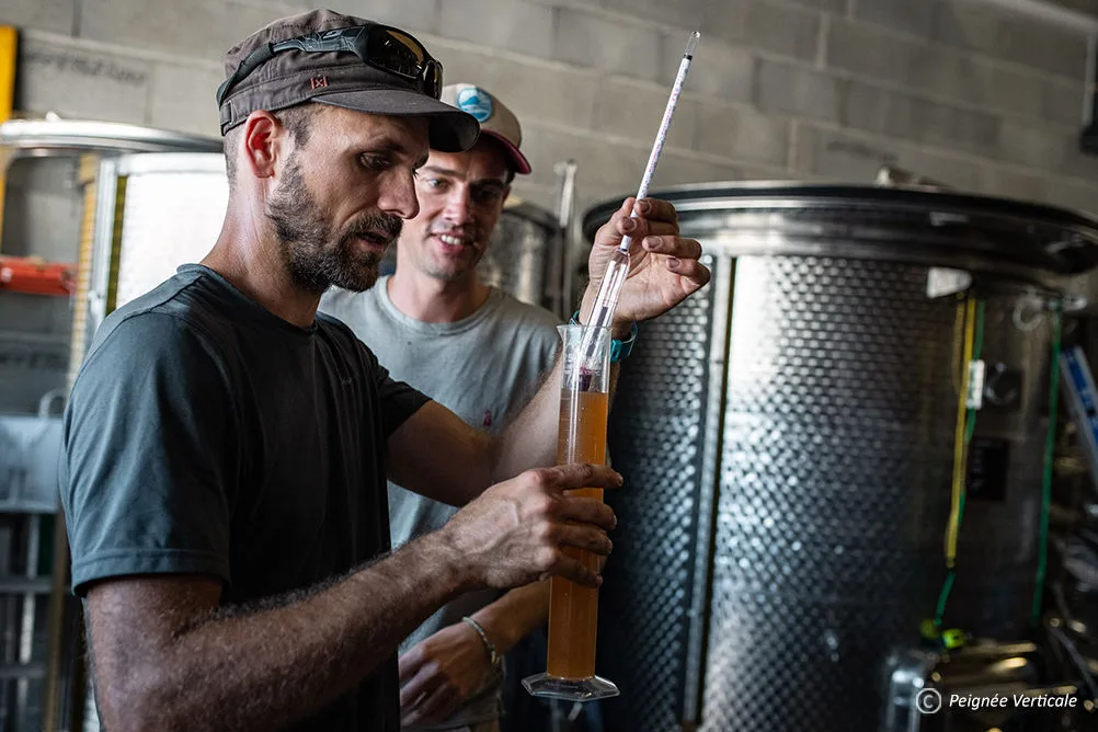 Domaine Ludovic Archer - Mesure du moût à l’éprouvette devant une cuve inox