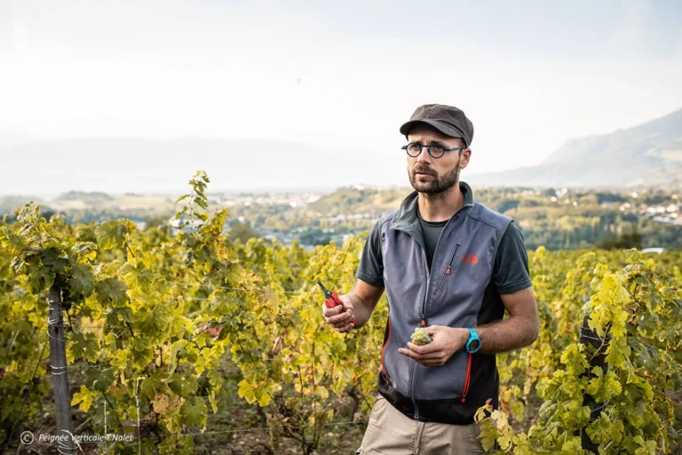 Domaine Ludovic Archer