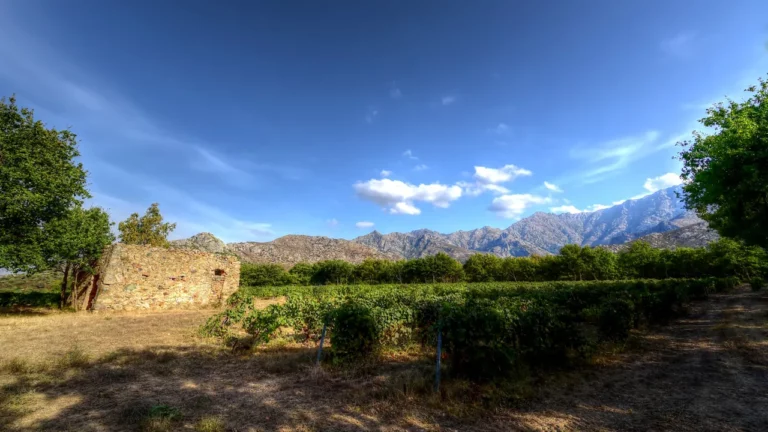 Domaine Maestracci