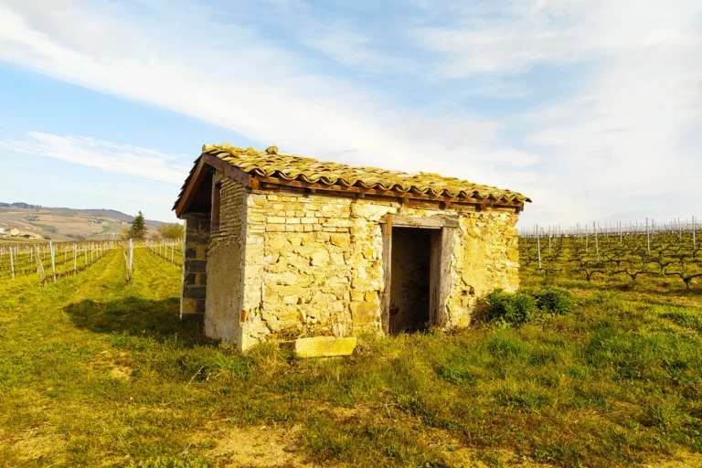 Domaine Matray & Filles