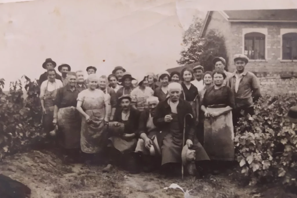 Domaine Matray & Filles - Équipe de vendangeurs sur une photographie ancienne