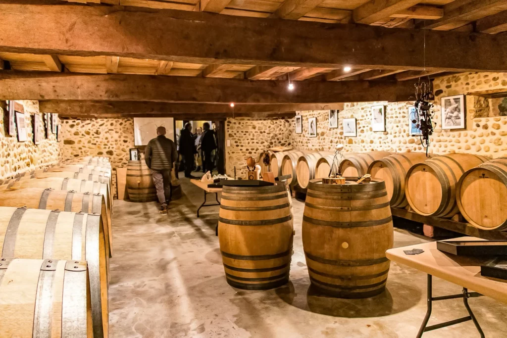 Domaine Nigri - Visiteurs dans le chai à barriques, entre foudres et tableaux