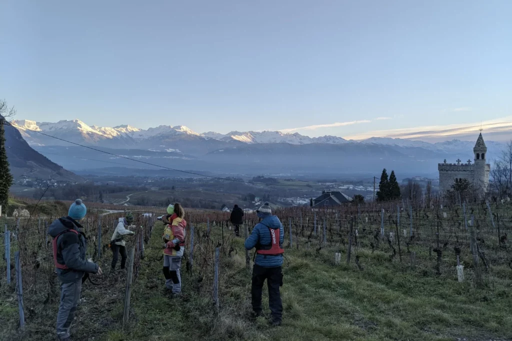 Domaine Pascal, Annick et Noé Quenard - L’équipe au travail dans les vignes en hiver, face aux montagnes