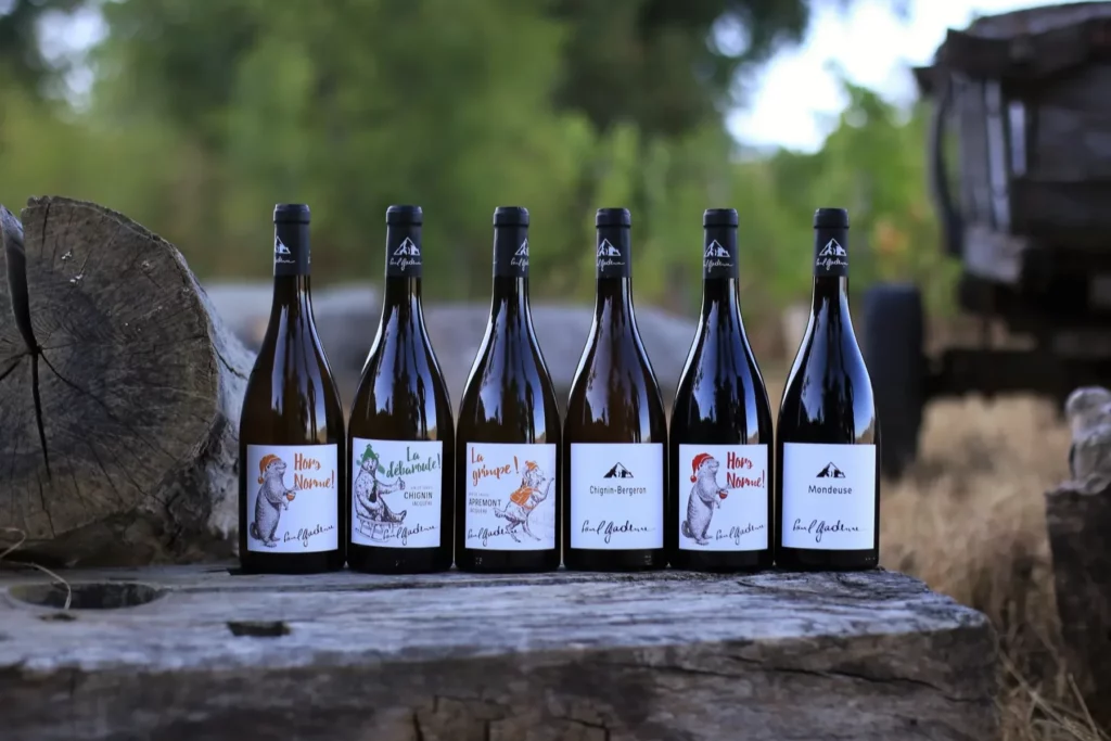 Domaine Paul Gadenne - La gamme des cuvées alignée sur un tronc en plein air