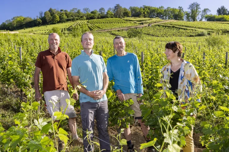 Domaine Pignier