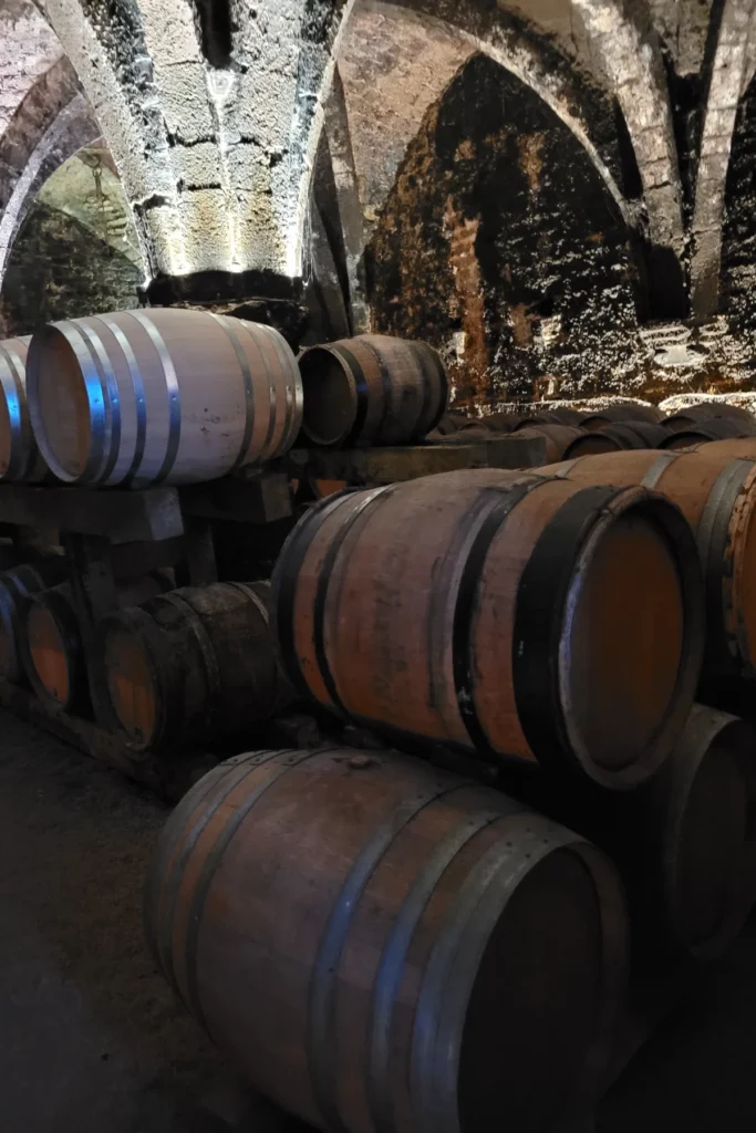 Domaine Pignier - Fûts de chêne alignés sous les voûtes d’ogives de la cave