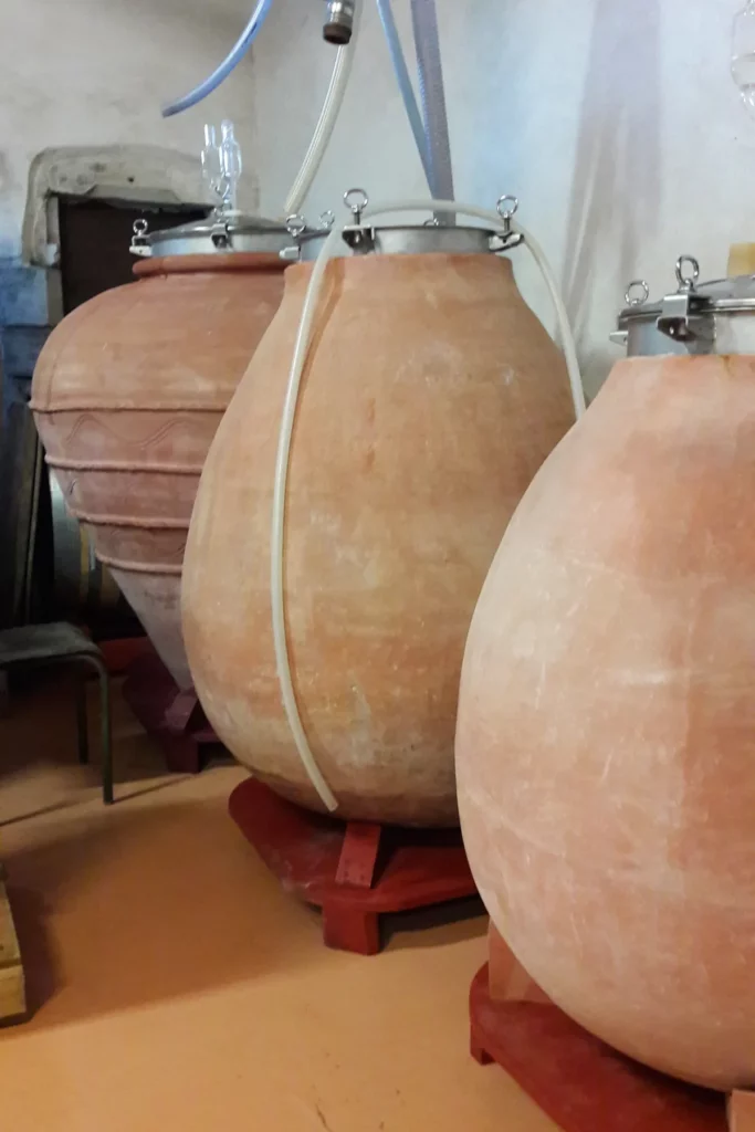 Domaine Pignier - Jarres en terre cuite installées au chai