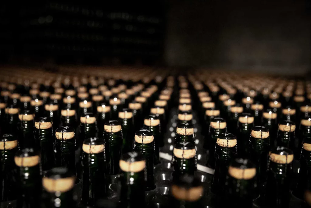 Domaine Renardat-Fache - Bouteilles bouchées et muselées alignées dans la cave