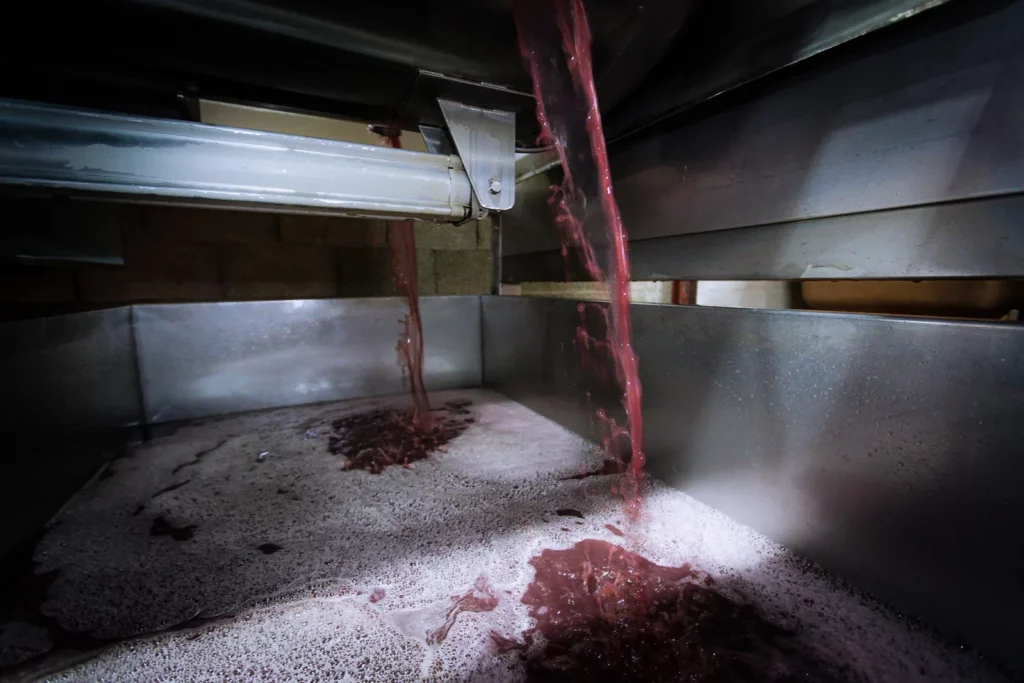 Domaine Renardat-Fache - Le jus de raisin rose coule dans une cuve en inox