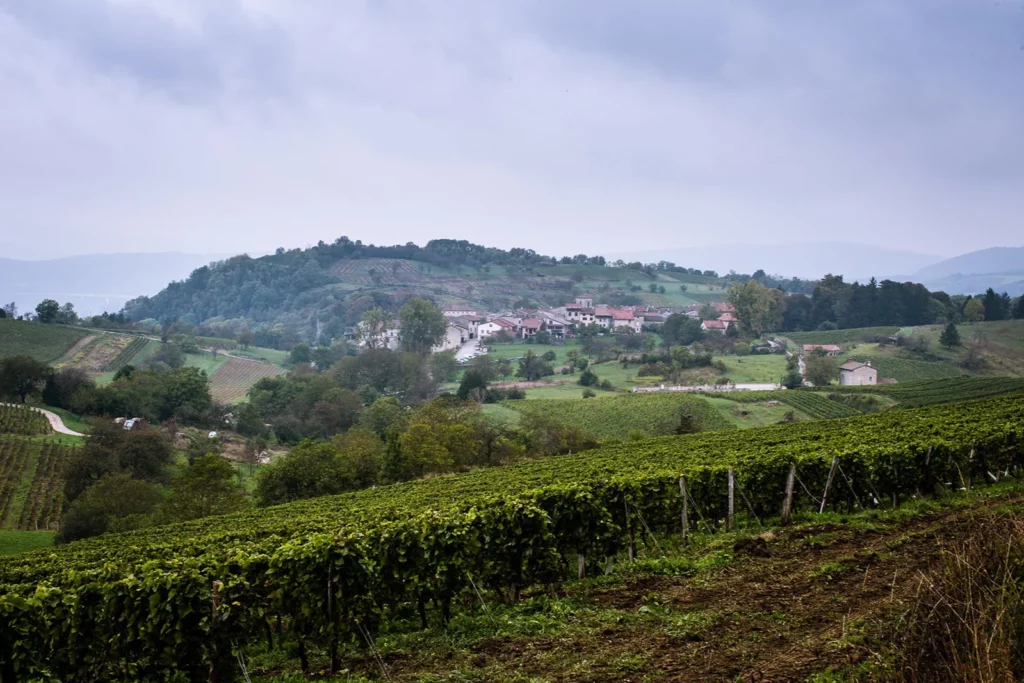 Domaine Renardat-Fache - Le village de Mérignat au-dessus de ses vignes