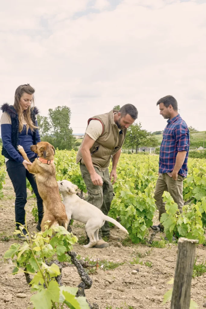 Domaine Romanesca - Antoine, Olivier et Lucrèce avec leurs chiens entre les rangs