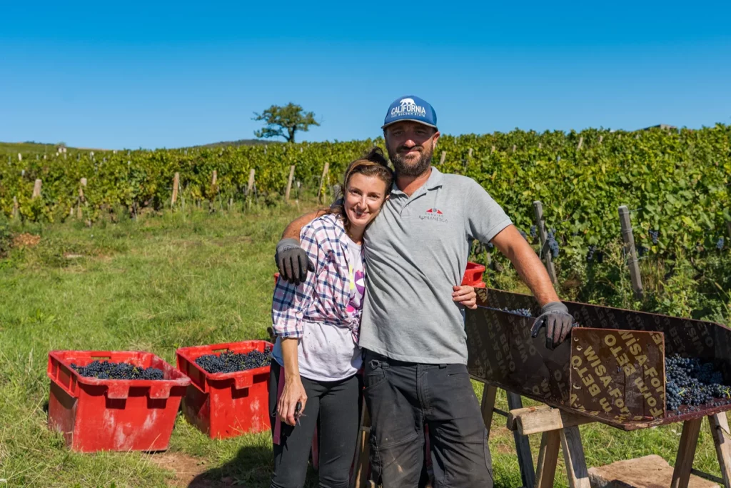 Domaine Romanesca - Vendanges à la main, caisses de raisin noir au bord des rangs