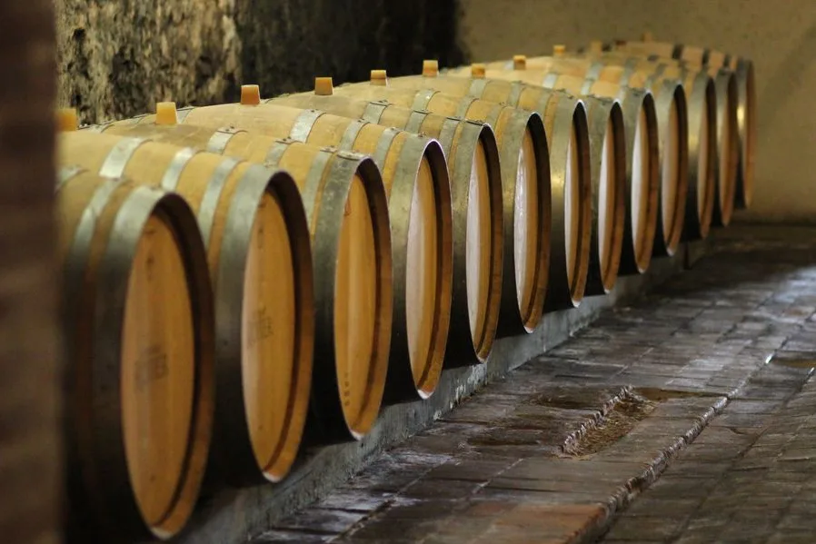 Domaine Rotier - Rangée de barriques dans le chai d’élevage