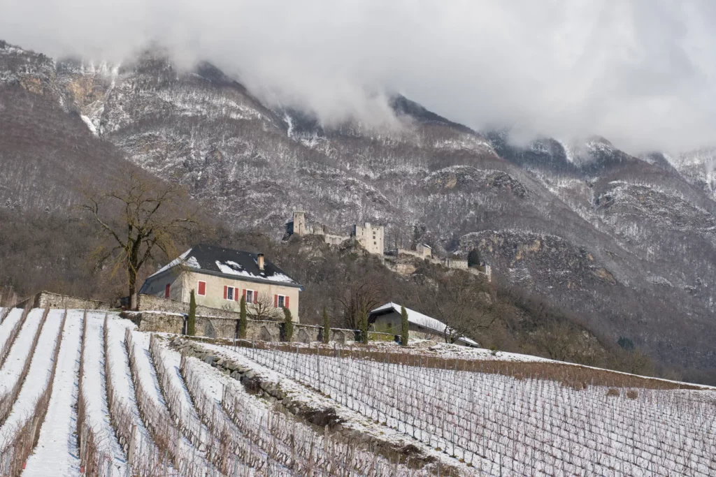 Domaine Saint-Germain - Le lieu-dit La Perrouse sous la neige, au pied du château de Miolans