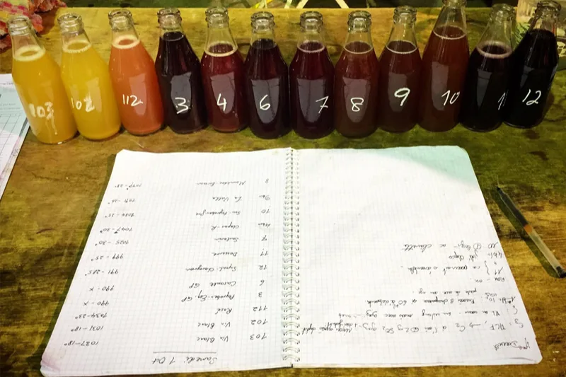 Domaine Saladin - Échantillons numérotés et carnet de notes pour les assemblages