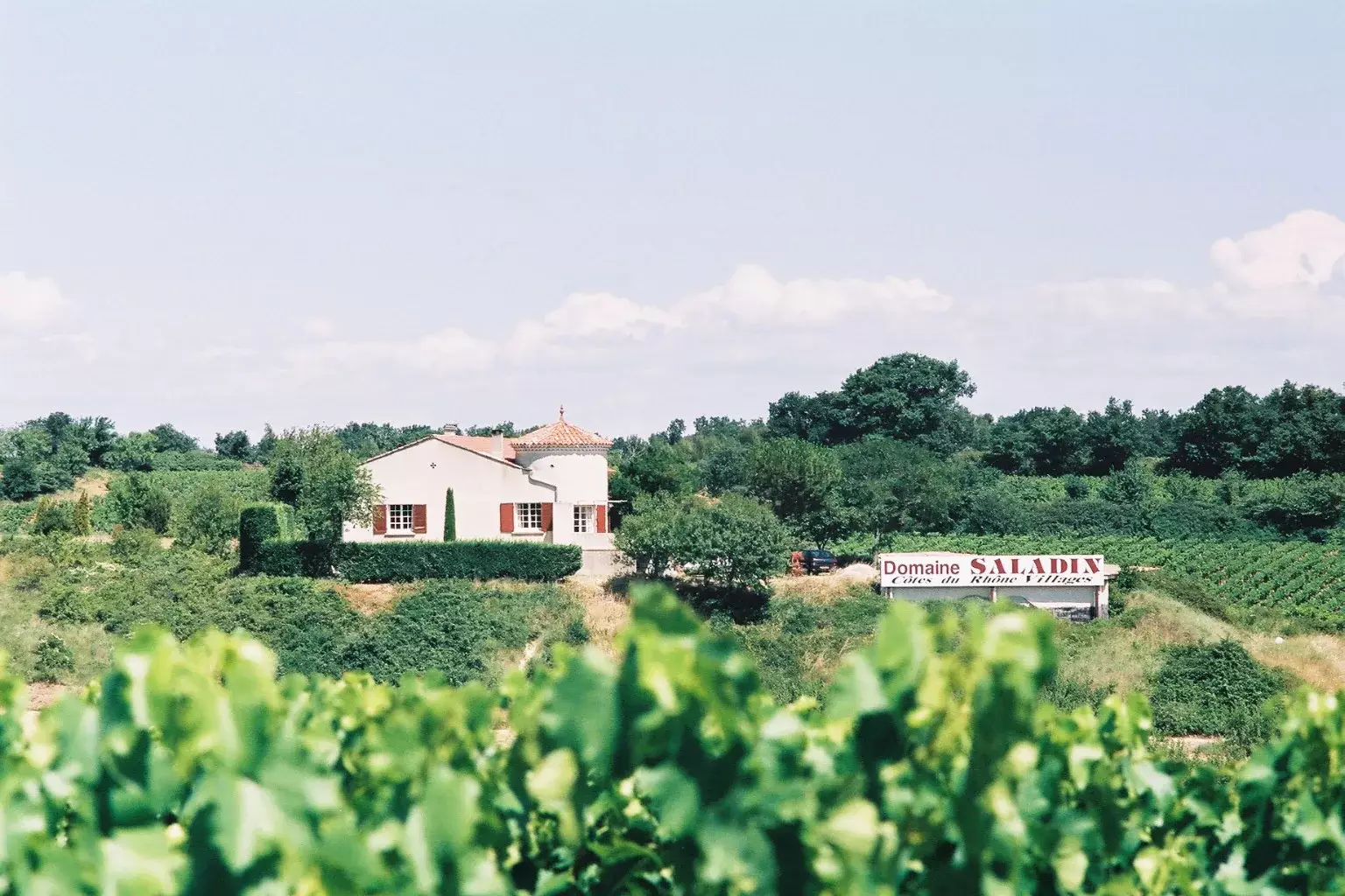 Domaine Saladin - La maison du domaine au milieu des vignes en été