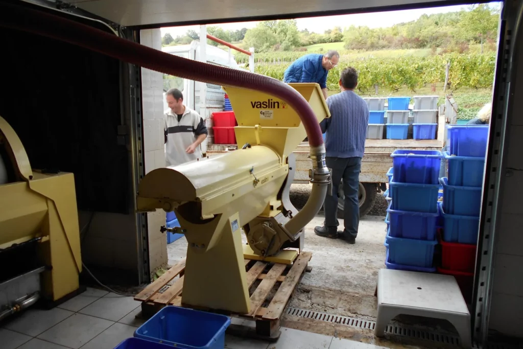 Domaine Véronique Antoine - Caisses de vendange et matériel de réception à l’entrée du chai