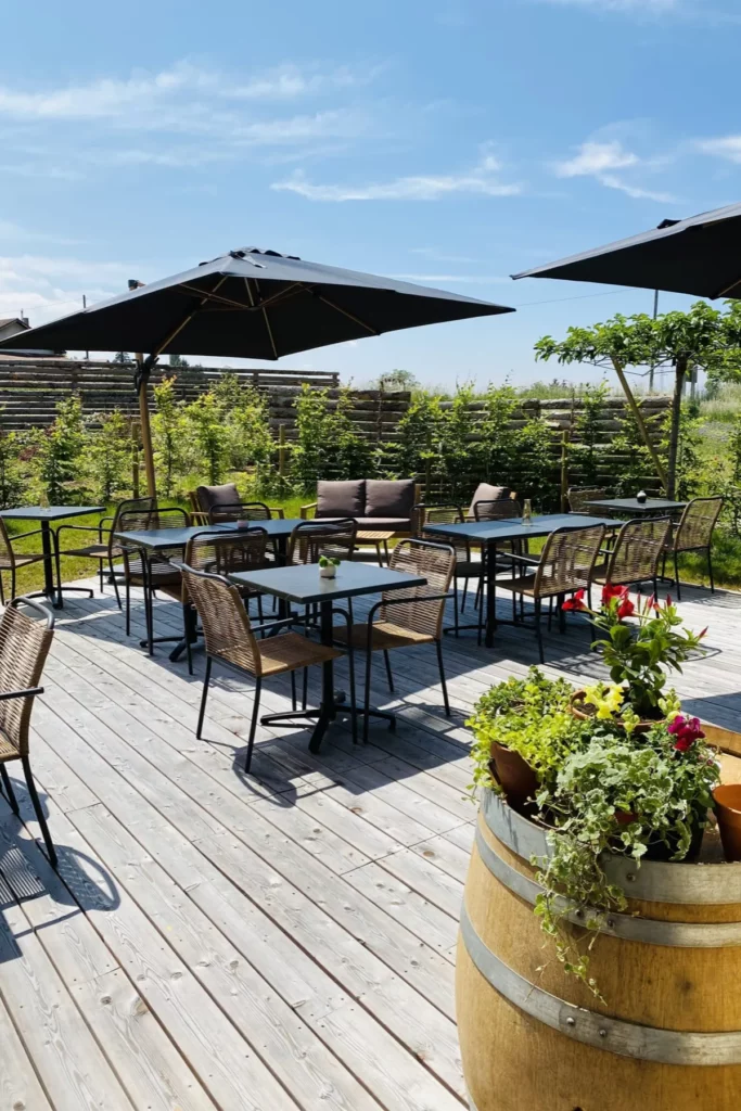 Les Vignes de Paradis - La terrasse du bar à vin, tables et parasols au bord des vignes