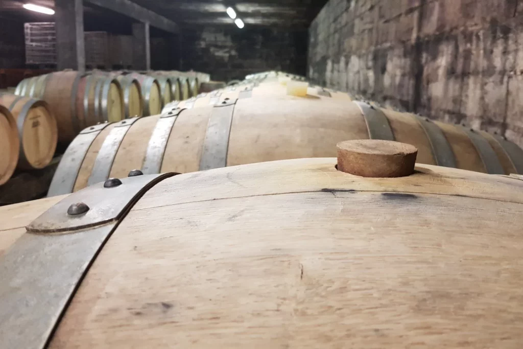 Maison Bonnard - Barriques alignées dans la cave