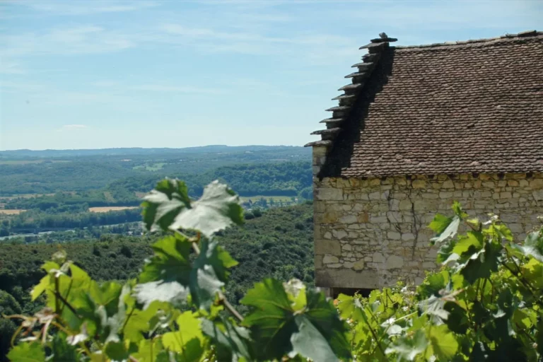 Maison Yves Duport