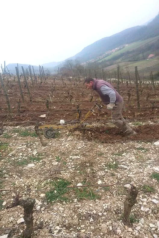 Maison Yves Duport - Labour au pied des ceps en fin d’hiver