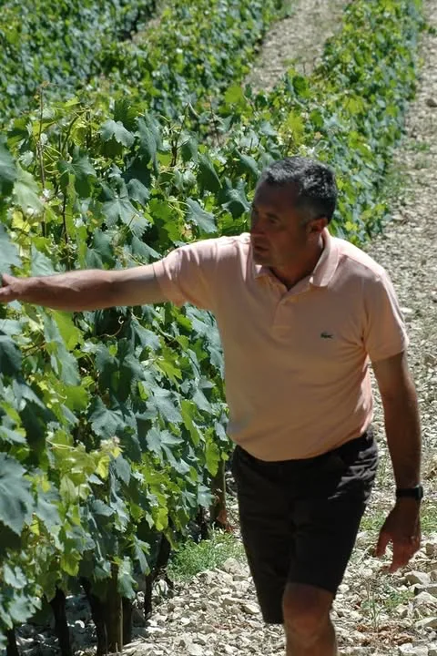 Maison Yves Duport - Yves Duport dans un rang de vigne au sol de cailloux calcaires
