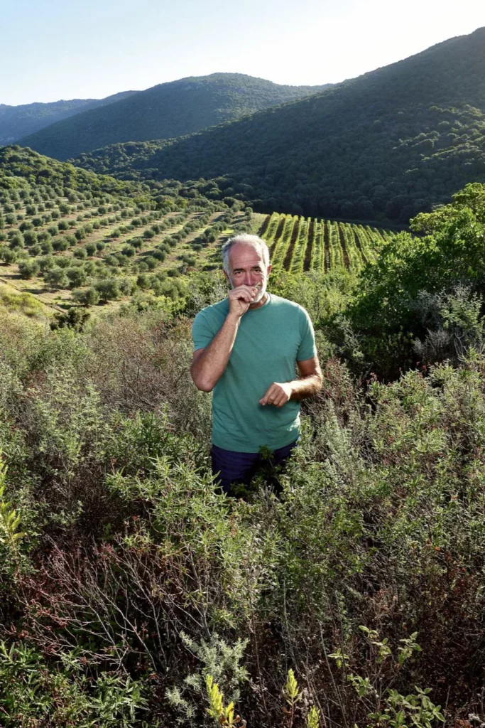 Sant'Armettu - Gilles Seroin dans le maquis, devant les oliviers et les vignes