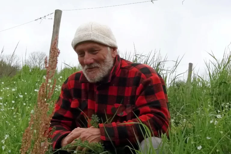 Vigne de Signols