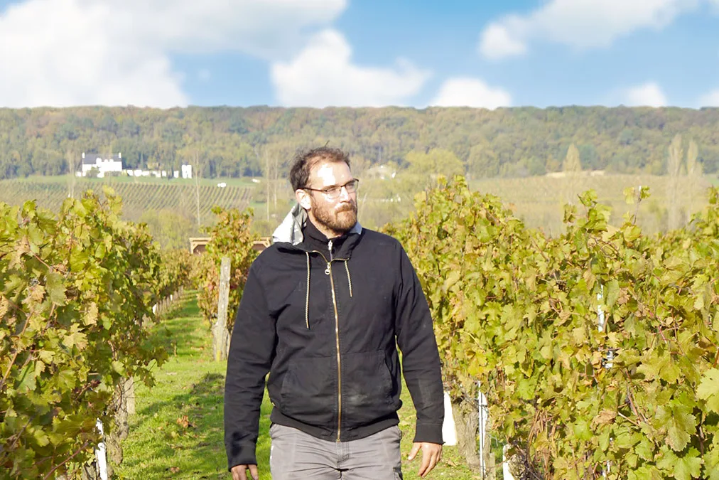 Vignoble Fabien Demois - Fabien Demois dans ses vignes en automne